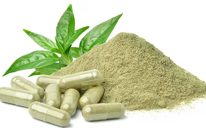 Best Green Tea Supplement 2023 Ultimate Health Boost